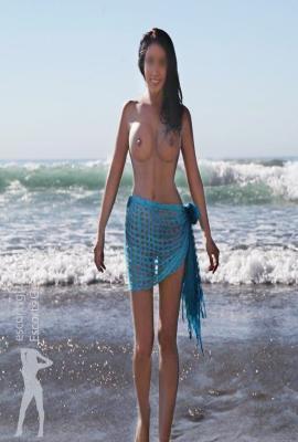 LISA -New York City -Los Angeles Escort New York City