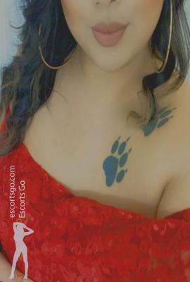 Katalina Escort San Jose